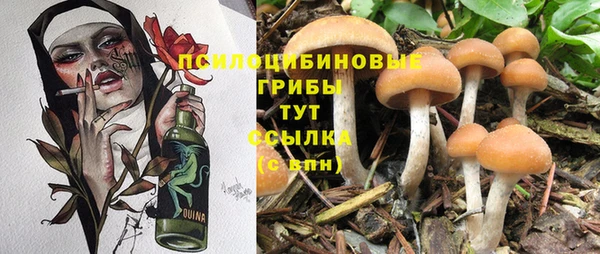 кокс Арсеньев