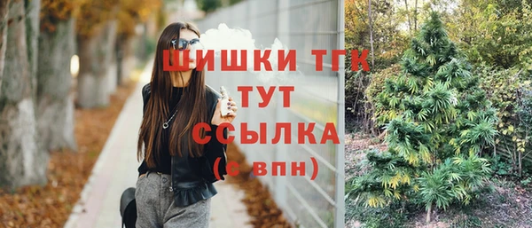 кокс Арсеньев