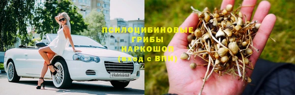 кокс Арсеньев